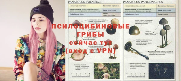 метадон Балабаново