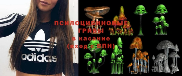 амф Балахна